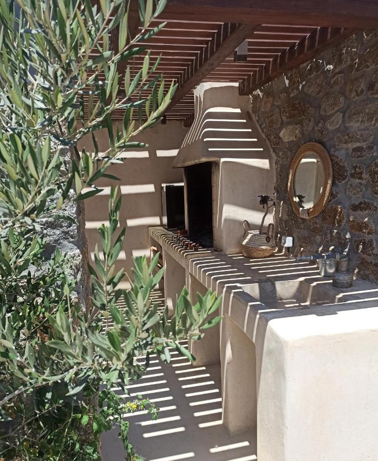 Aviola Mykonos Villa Ftelia  Exterior photo